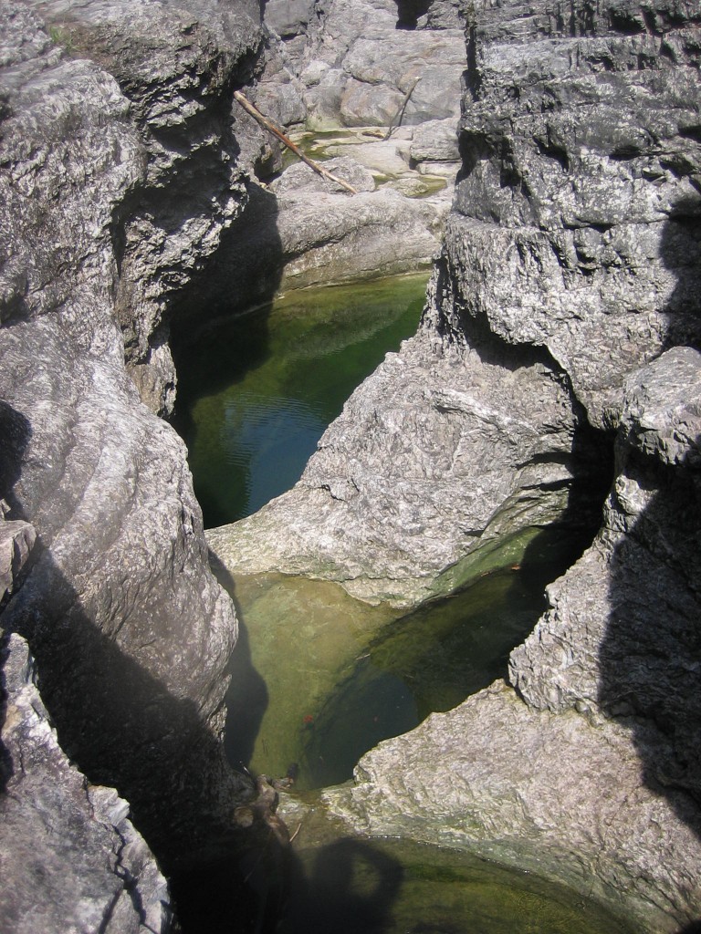 IMG_4471.JPG - 309.02 kb