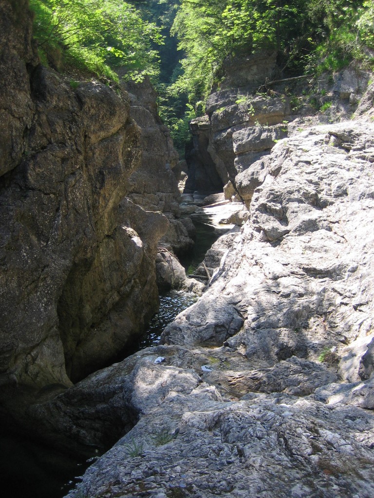 IMG_4606.JPG - 332.46 kb