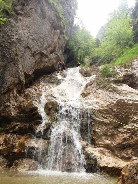 Altersbach4.jpg - 120.3 kb