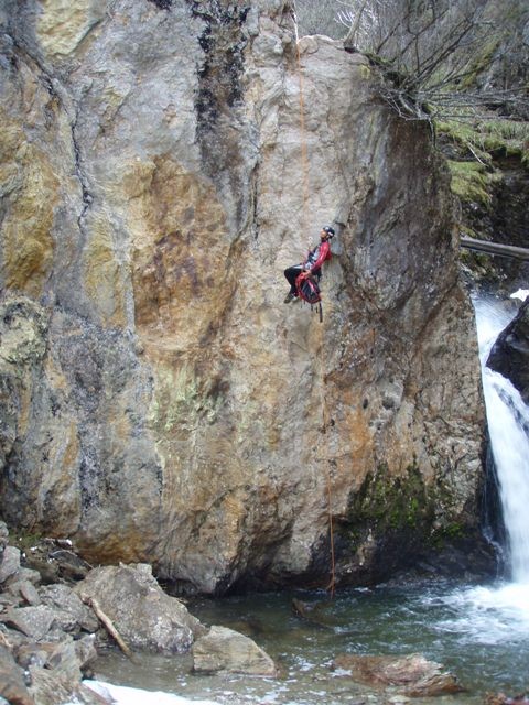 Alpenrose (23).jpg - 119.02 kb