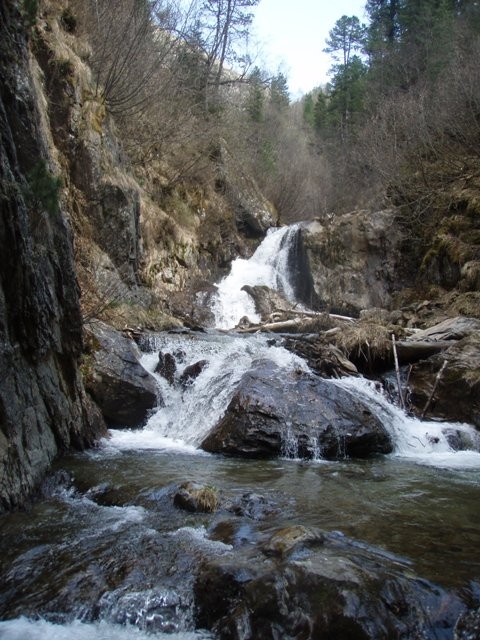 Alpenrose (31).jpg - 107.69 kb