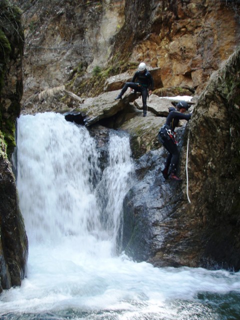 Alpenrose (59).jpg - 96.61 kb