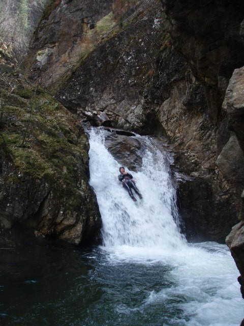 Alpenrose (62).jpg - 85.66 kb