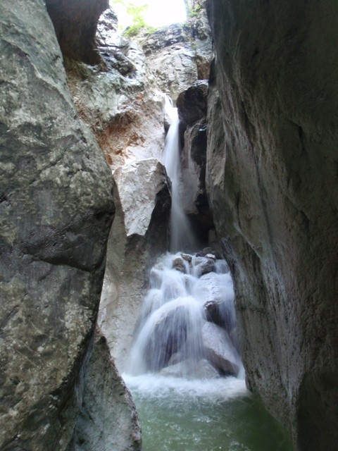 P8160302.JPG - 86.18 kb