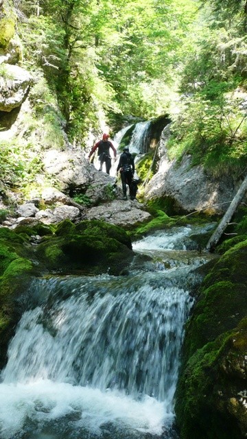 Drachenmaul1.JPG - 108.72 kb