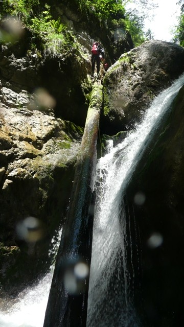 Drachenmaul2.JPG - 77.15 kb