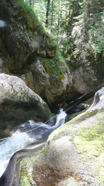 Drachenmaul3.JPG - 96.39 kb