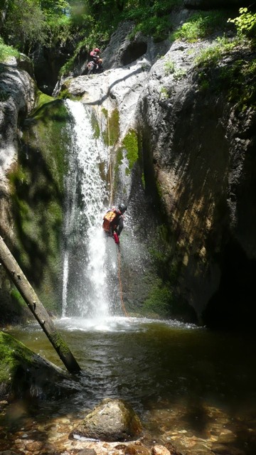 Drachenmaul4.JPG - 84.91 kb