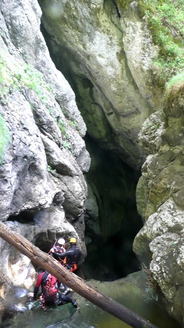 Drachenmaul5.JPG - 88.06 kb