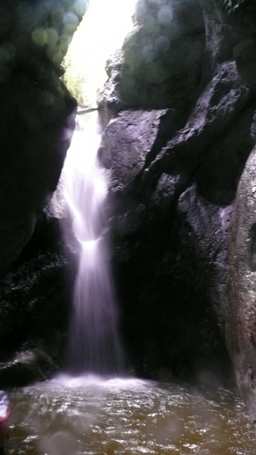 Drachenmaul6.JPG - 49.87 kb