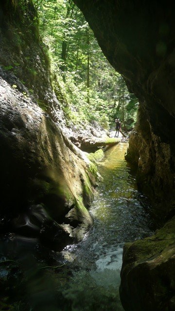 Drachenmaul8.JPG - 73.44 kb