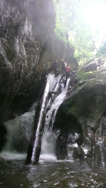 Drachenmaul9.JPG - 63.25 kb