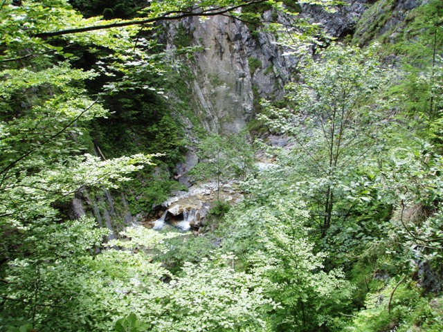 V0000018.JPG - 171.62 kb