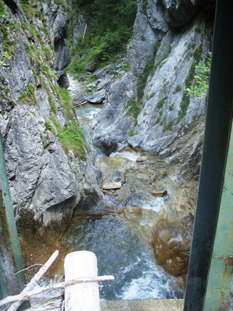 V0000025.JPG - 129.76 kb