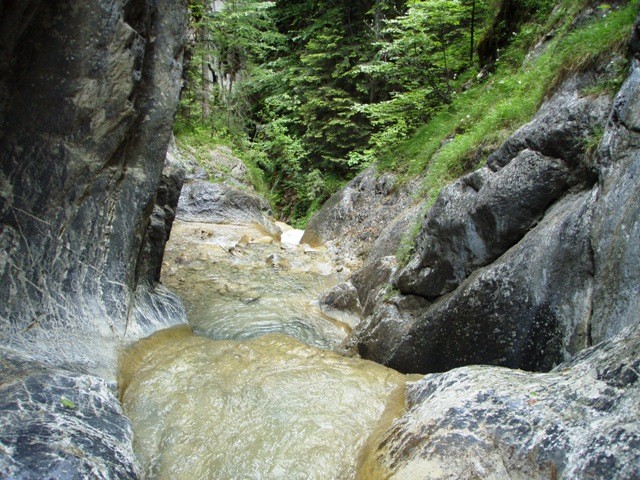 V0000033.JPG - 141.97 kb