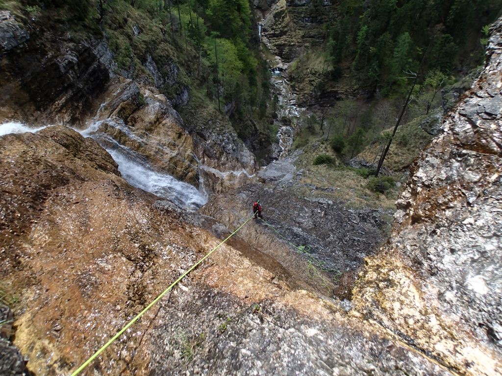 P5010104.JPG - 323.94 kb