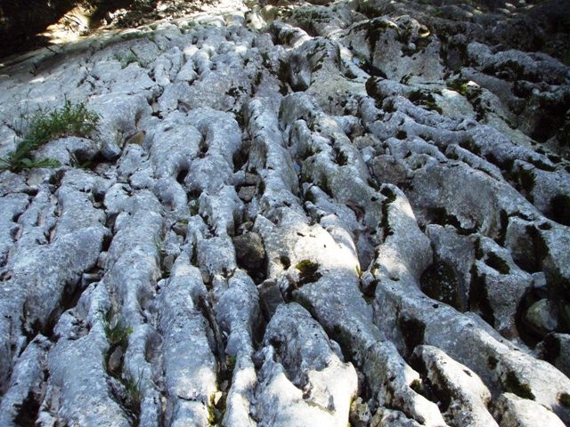 Jaglingbach2.JPG - 131.66 kb