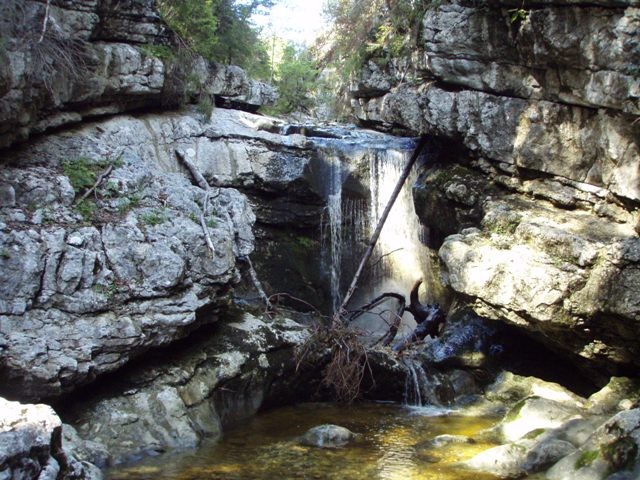 Jaglingbach4.JPG - 123.57 kb