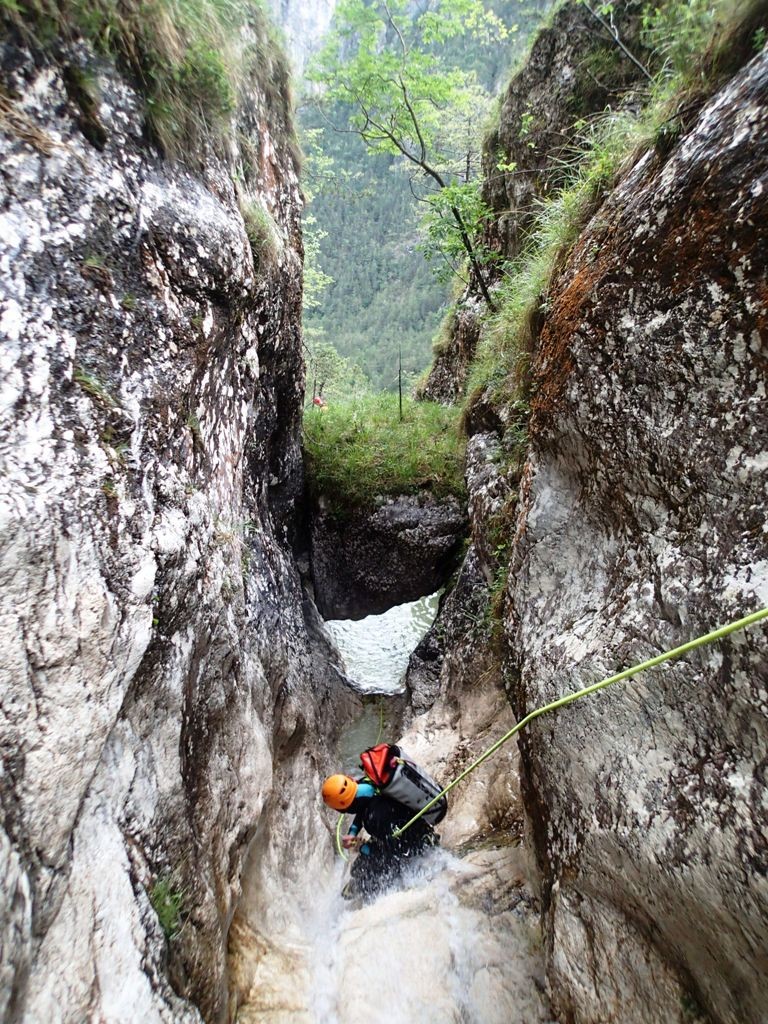 Revis (2).JPG - 353.8 kb