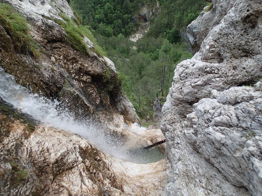 Revis (4).JPG - 315.56 kb