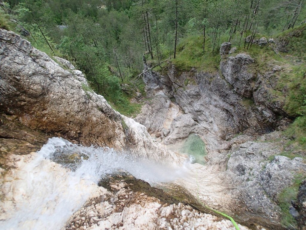 Revis (5).JPG - 308.66 kb