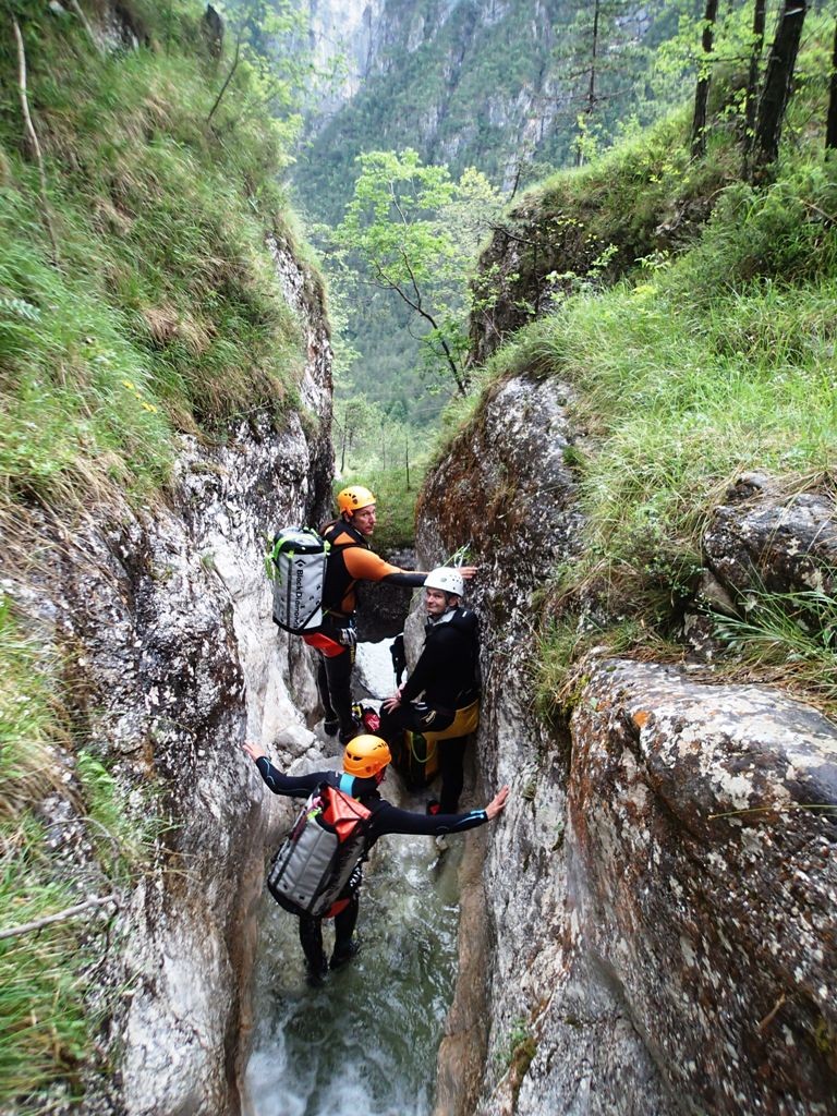 Rivis (1).JPG - 368.83 kb