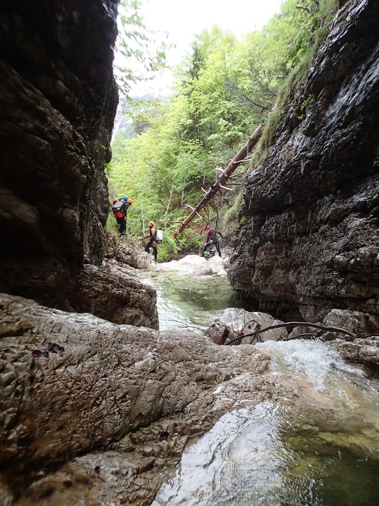 Malga (6).JPG - 294.66 kb