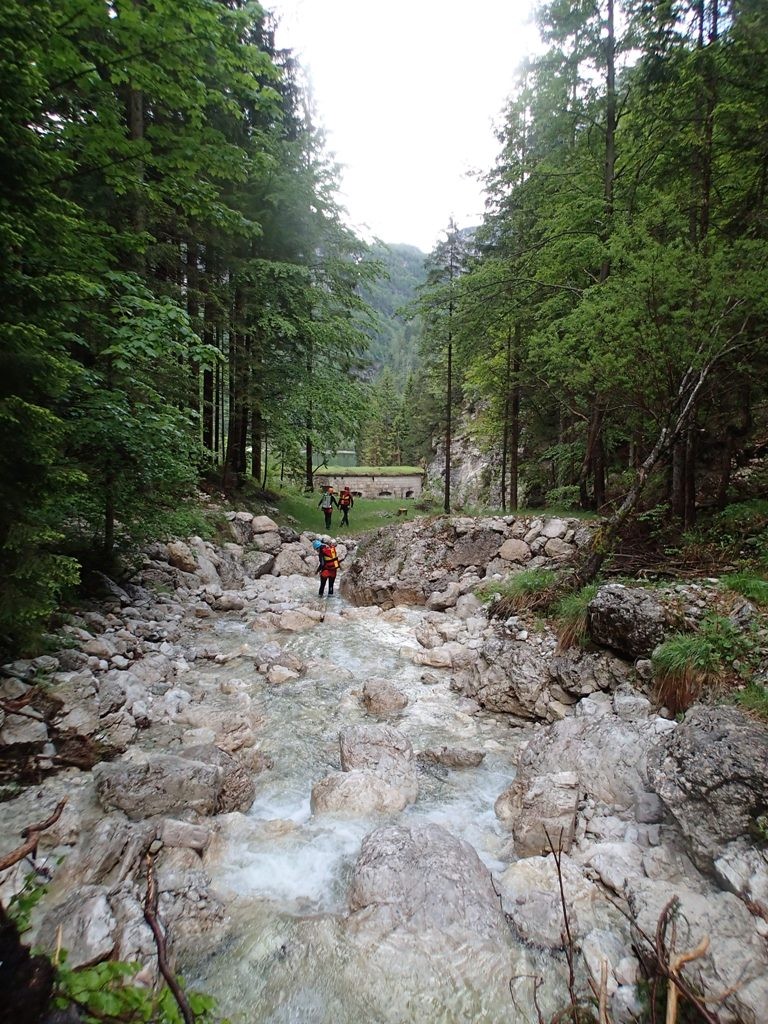 Malga (9).JPG - 307.19 kb