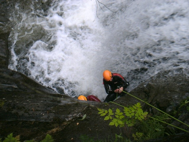 BILD1377.JPG - 81.49 kb