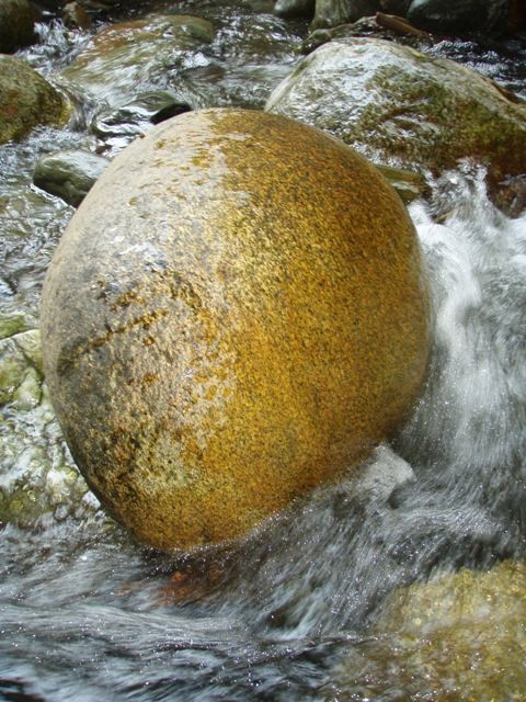 P4290228.JPG - 119.25 kb