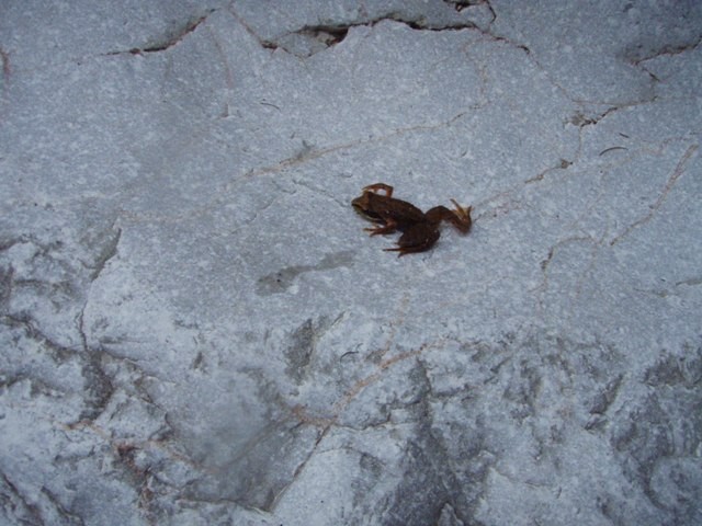 P8160154.JPG - 80.88 kb