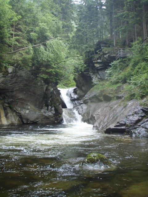 V0000015.JPG - 116.99 kb