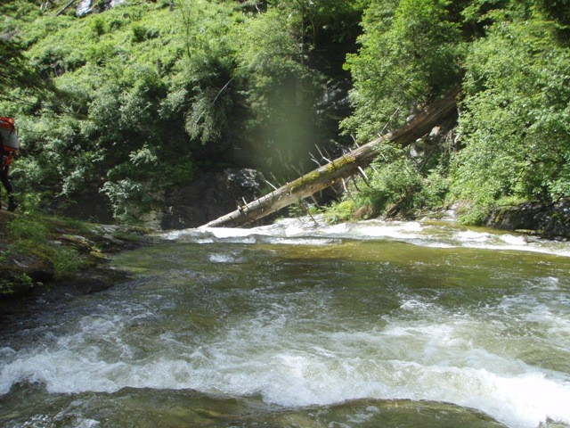 V0000016.JPG - 129.49 kb