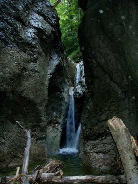 Rosittenbach5.JPG - 86.68 kb