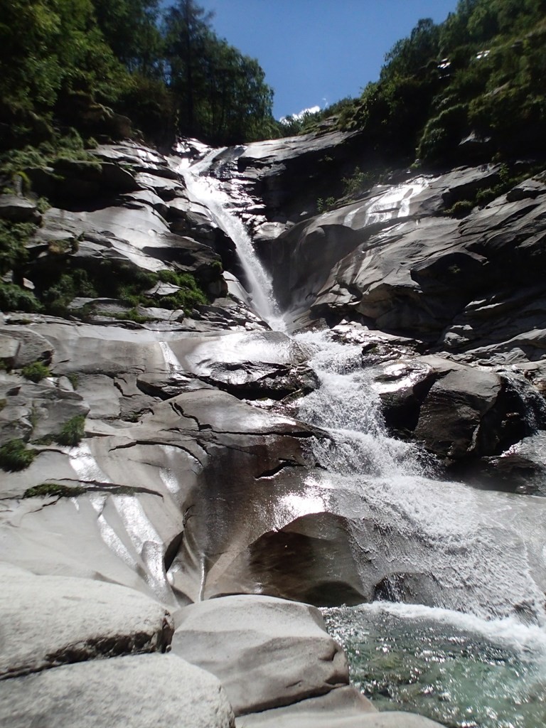 P8040475.JPG - 239.8 kb