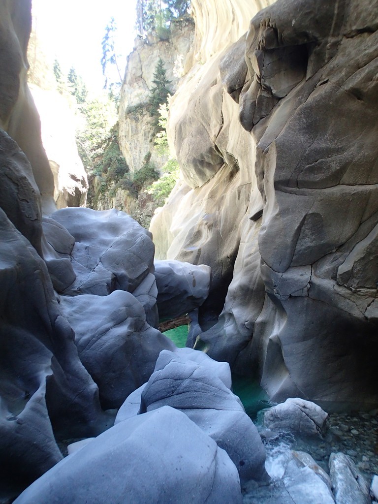 P8030182.JPG - 196.41 kb