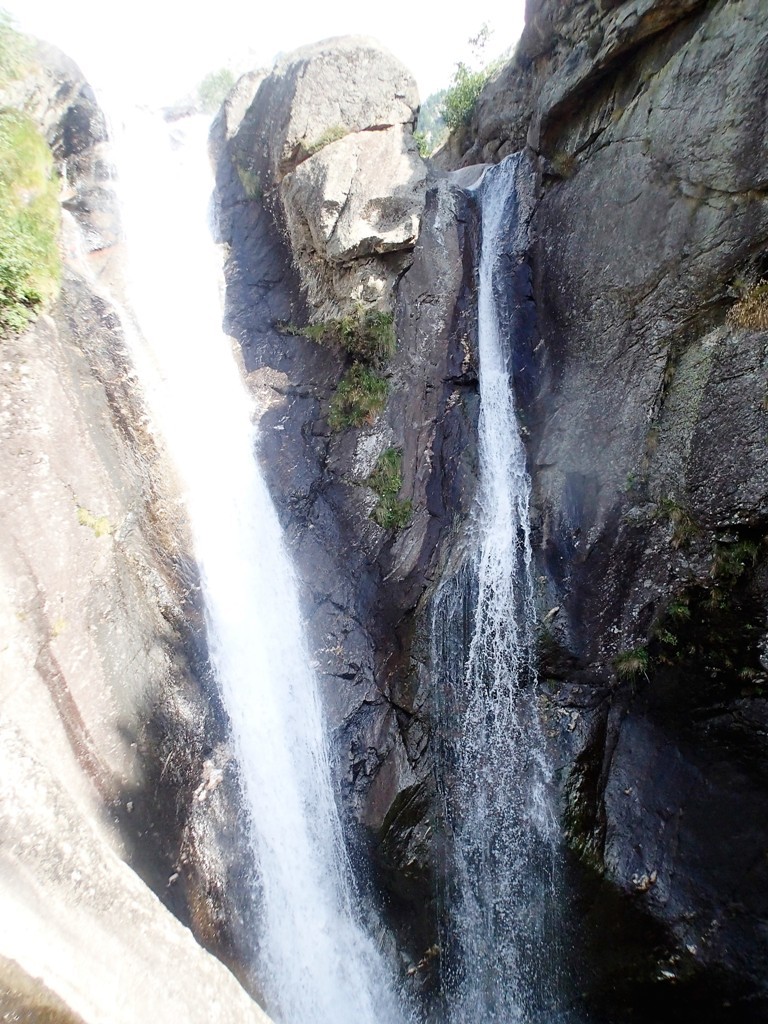 P8060731.JPG - 259.67 kb