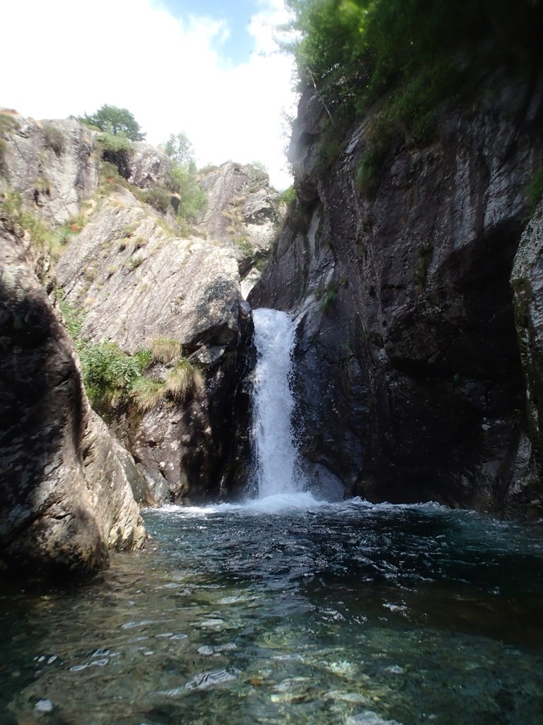 P8060817.JPG - 215.37 kb