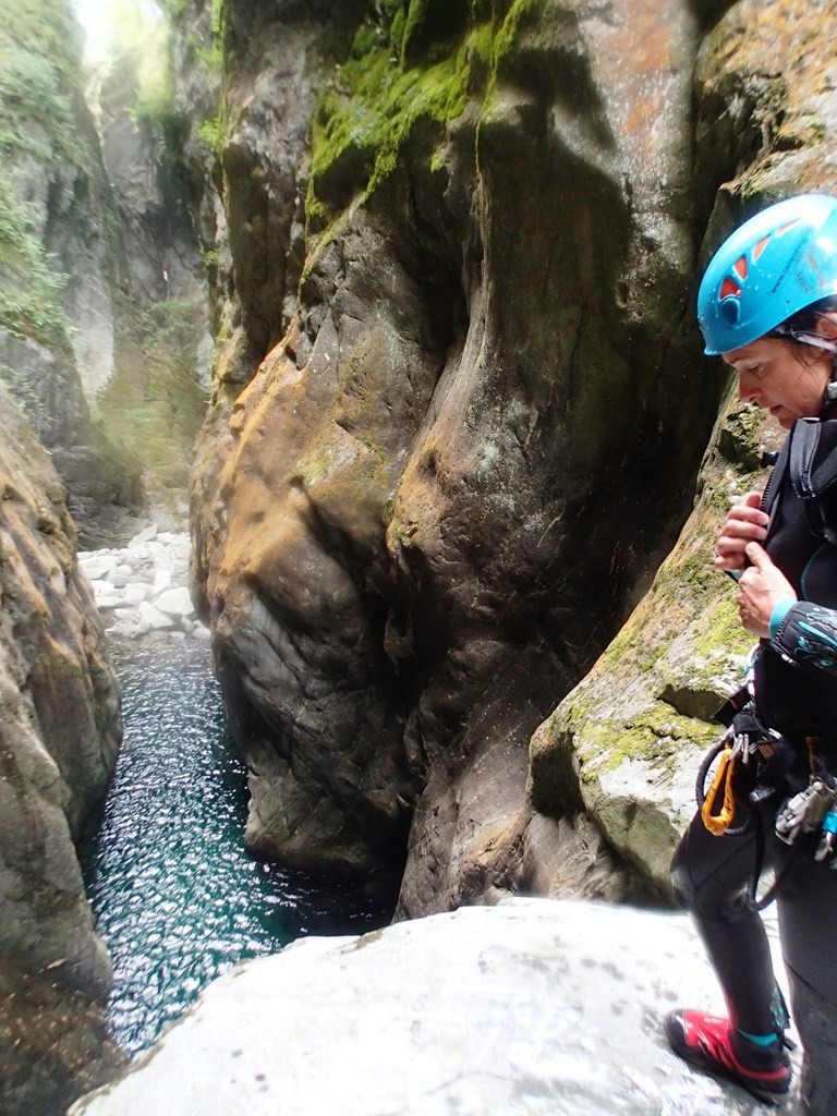 P8050556.JPG - 231.96 kb