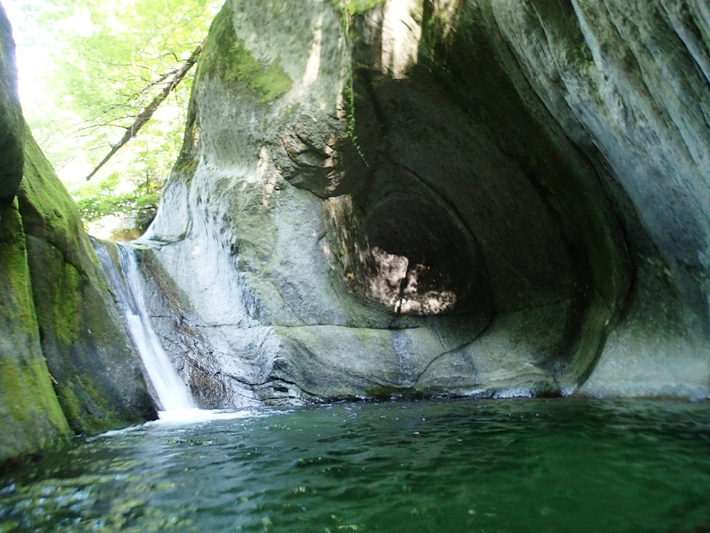 P8081139.JPG - 209.94 kb