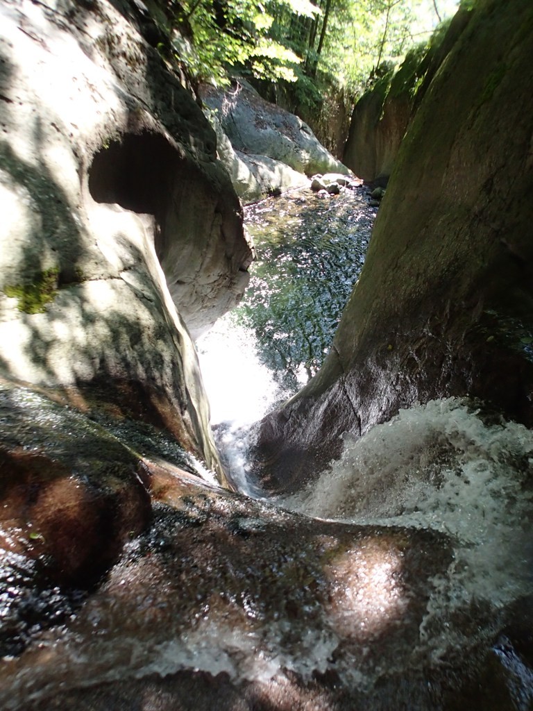 P8081164.JPG - 240.04 kb