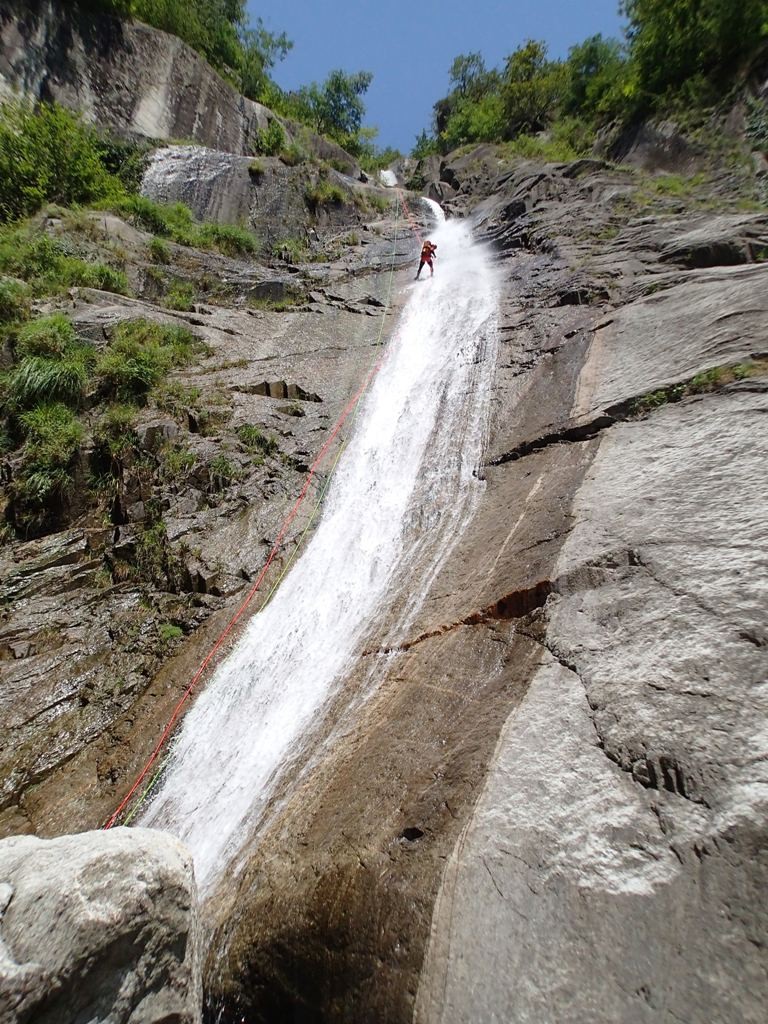 P8081217.JPG - 293.77 kb