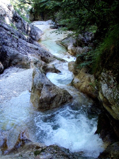 P6180004.JPG - 125.18 kb