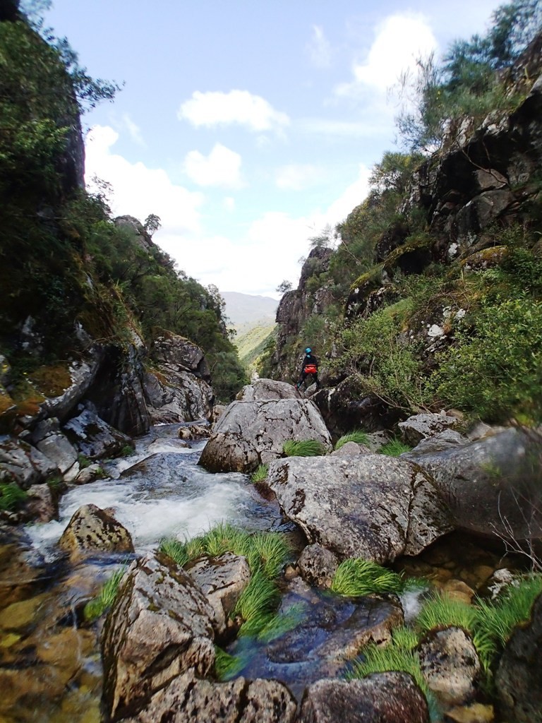 P5300657.JPG - 253.77 kb