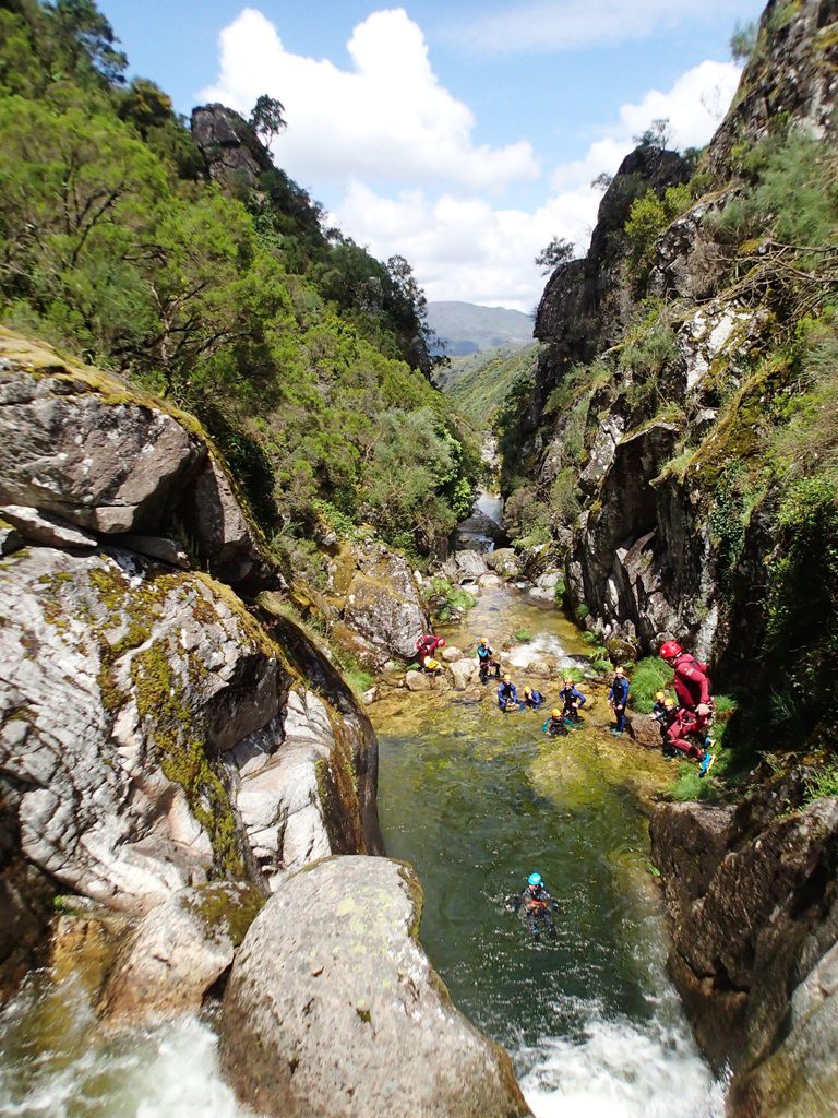 P5300664.JPG - 313.26 kb