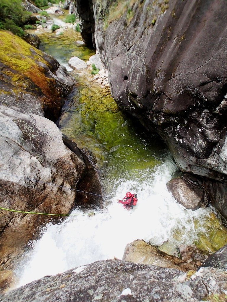 P5300702.JPG - 280.22 kb