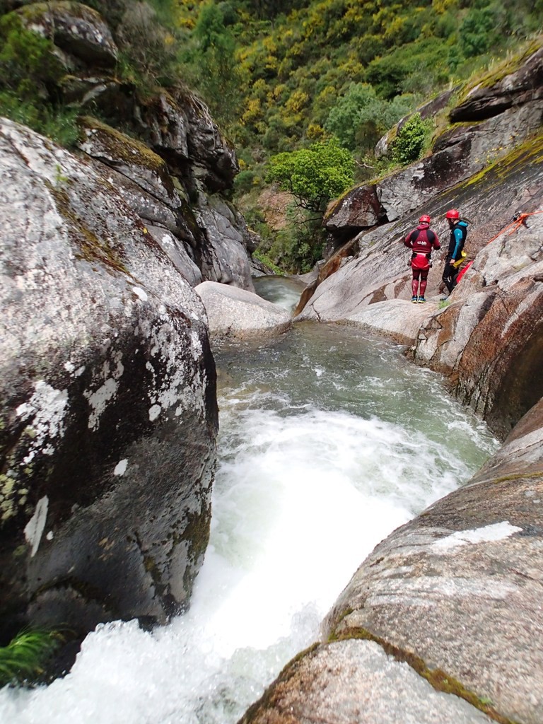 P5300751.JPG - 280.35 kb