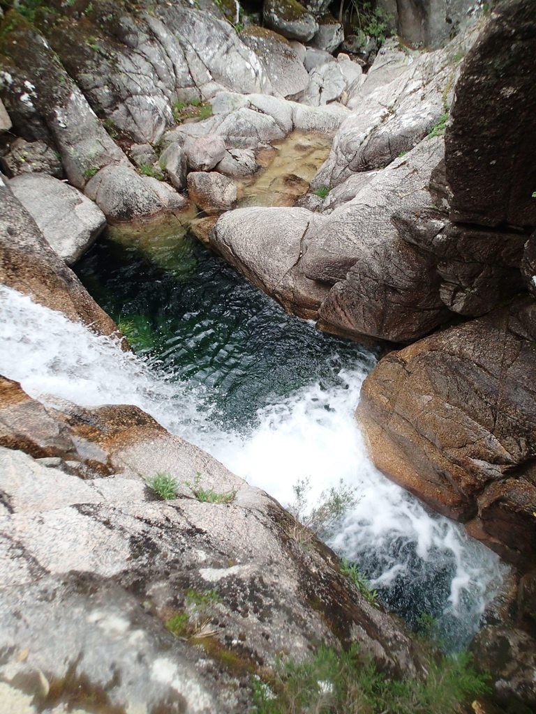 P5270259.JPG - 295.99 kb