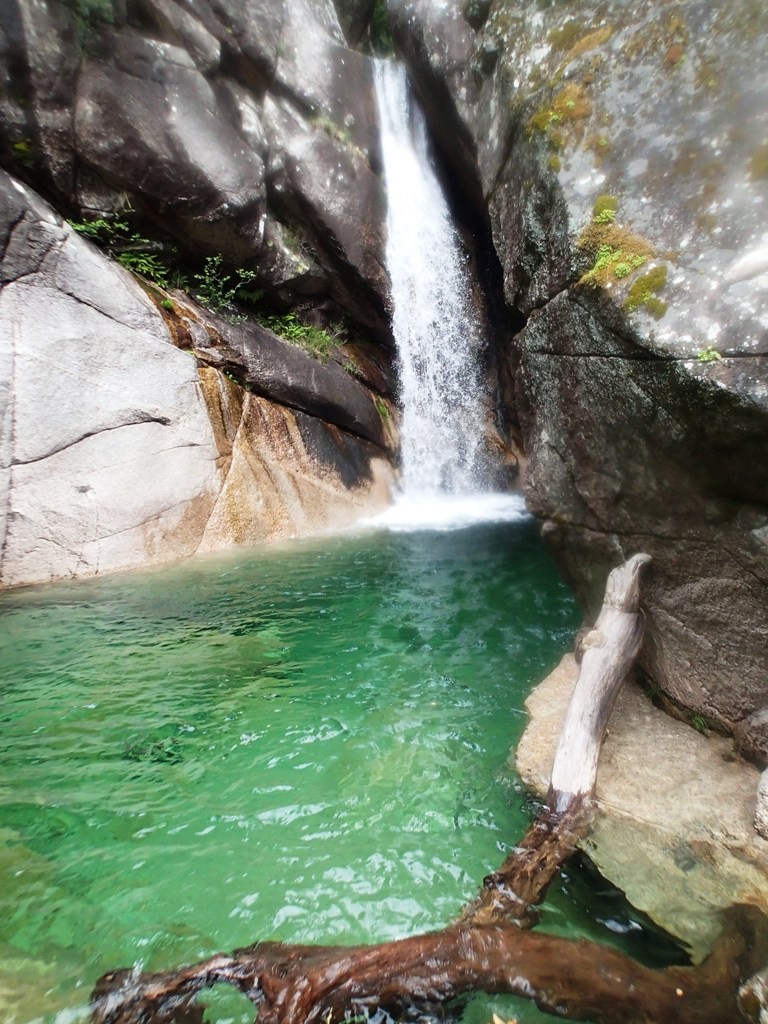 P5270269.JPG - 235 kb