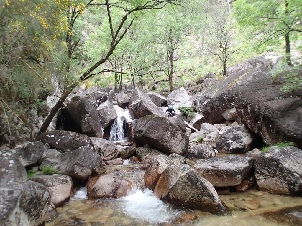 P5270312.JPG - 296.59 kb